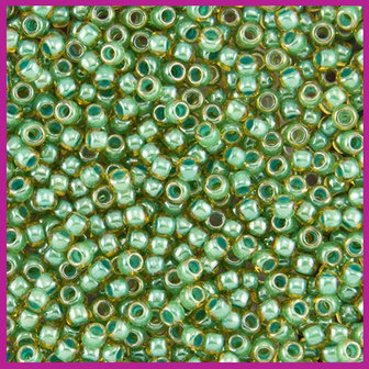 ToHo rocailles 11/0 Teal Lined Topaz